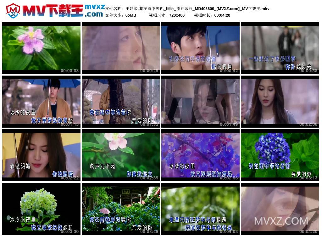 王建荣-我在雨中等你_国语_流行歌曲_MD403809